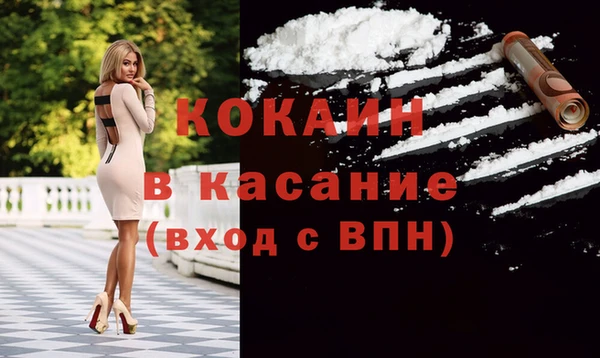 кокс Арсеньев