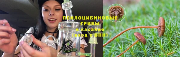 прущий лед Аркадак