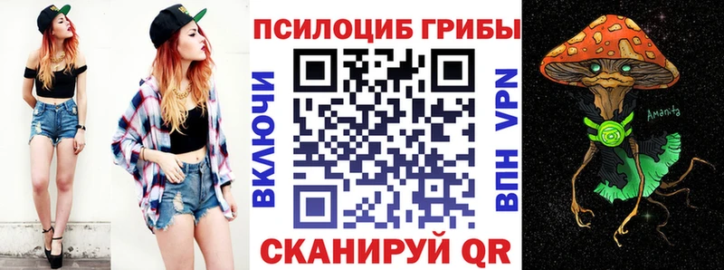 Псилоцибиновые грибы прущие грибы  наркотики  OMG ссылка  Павловск 