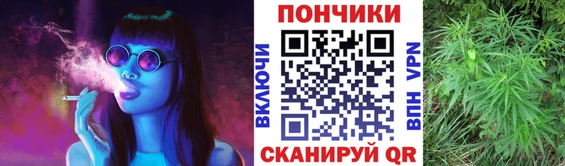 Конопля THC 21%  где можно купить   Павловск 